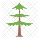 낙엽송 나무 식물 아이콘