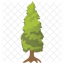 Cypress Larix Larch Icon