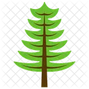 Cypress Tree Larix Icon