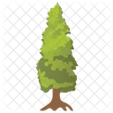 Cypress Larix Larch Icon