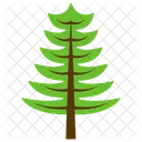 Cypress Tree Larix Icon