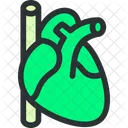 Lareira Pulso Cardiologia Icon