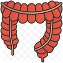 Large  Icon
