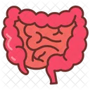 Large intestine  Icon