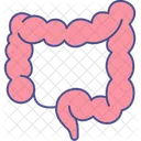 Large Intestine Intestine Body Organ Icon