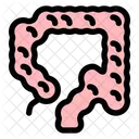 Large Intestine Digestive Gastrointestinal Icon