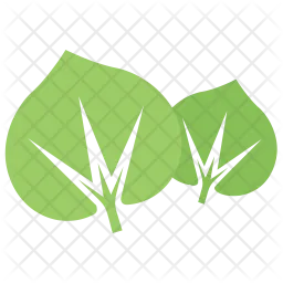 Large-Leaved Lime  Icon