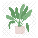 Potted Plant Palm Symbol