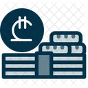 Cash Payment Icon