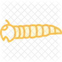 Larva Da Farinha Inseto Besouro Ícone