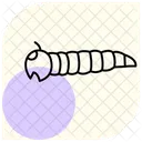 Larva Da Farinha Inseto Besouro Ícone