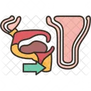 Larynx  Icon