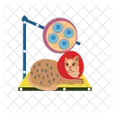 Laser Therapy Colposcope Therapy Icon