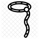 Lasso Icon