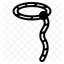 Lasso Icon