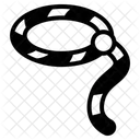 Lasso Icon