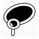 Lasso Icon