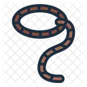 Lasso  Icon