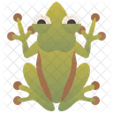 Laubfrosch  Symbol