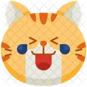 Lol Emoticon Cat Icon