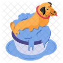 Limpieza Coronavirus Covid Free Icon