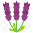 Lavanda  Ícone