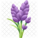 Lavanda Flor Violeta Icono