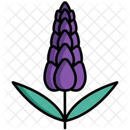 Lavanda  Icono