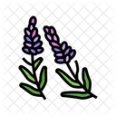 Lavanda  Ícone