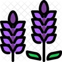 Lavendel  Symbol