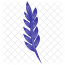 Lavendel Bluhende Pflanze Lavandula Symbol