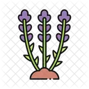 Lavendel  Symbol