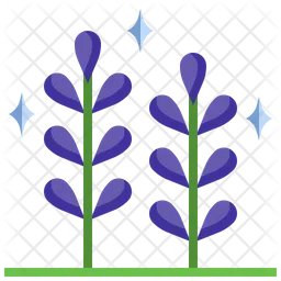 Lavendel  Symbol