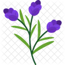 Lavender Symbol