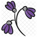 Lavender Blossom Flower Icon