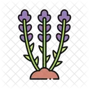 Lavender Plant Flower Icon