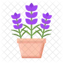 Lavender Flower Violet Icon