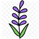 Lavender Icon