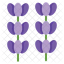 Lavender  Icon