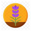 Lavender Flower Violet Icon