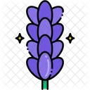 Lavender Icon