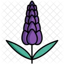 Lavender  Icon
