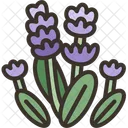 Lavender Flower Fragrance Icon