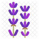 Lavender Flower Smell Icon