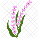Lavender Flowers Flower Decoration Icon