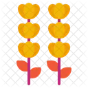 Lavender  Icon