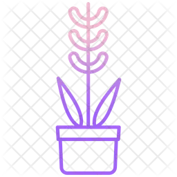 Lavender Plant  Icon