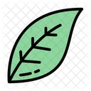 Leaf Nature Plant Icon