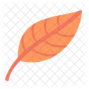 Leaf Maple Leaf Autumn Leaf Icon