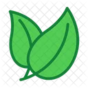 Eco Leaves Nature Icon